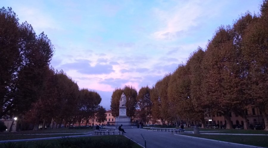 Viviamo Pisa è per i cittadini e per le imprese: ai tempi di Covid 19 e anche dopo