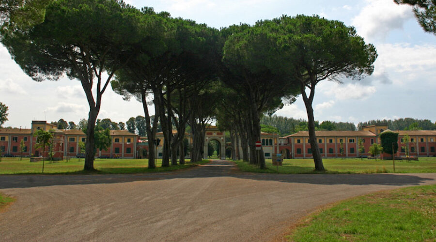 San Rossore Pisa: un’oasi di natura a due passi dalla città